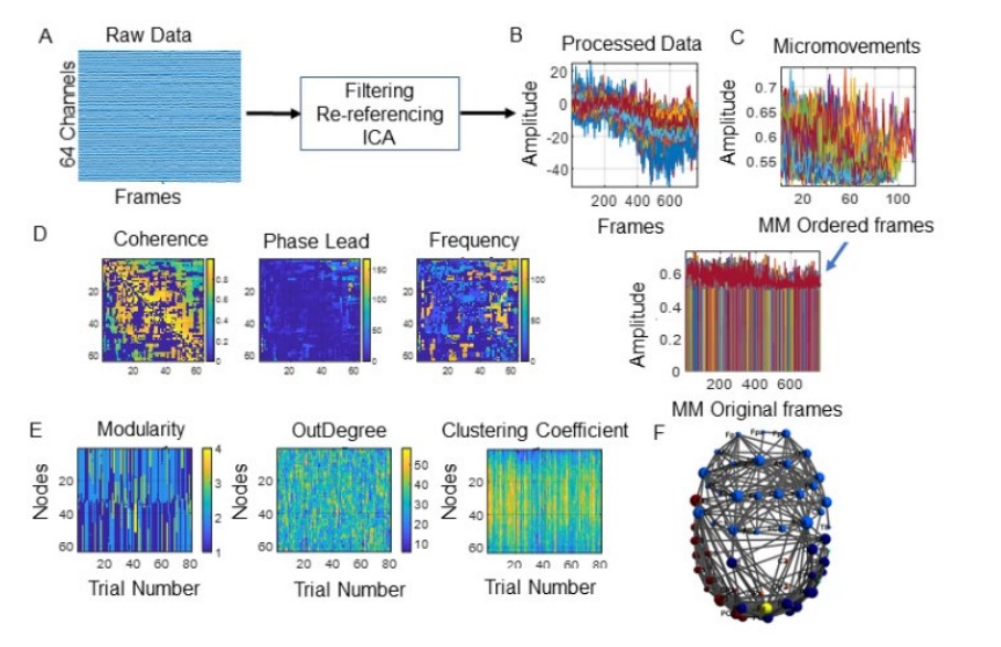MOCO EEG neural connectivity pipeline